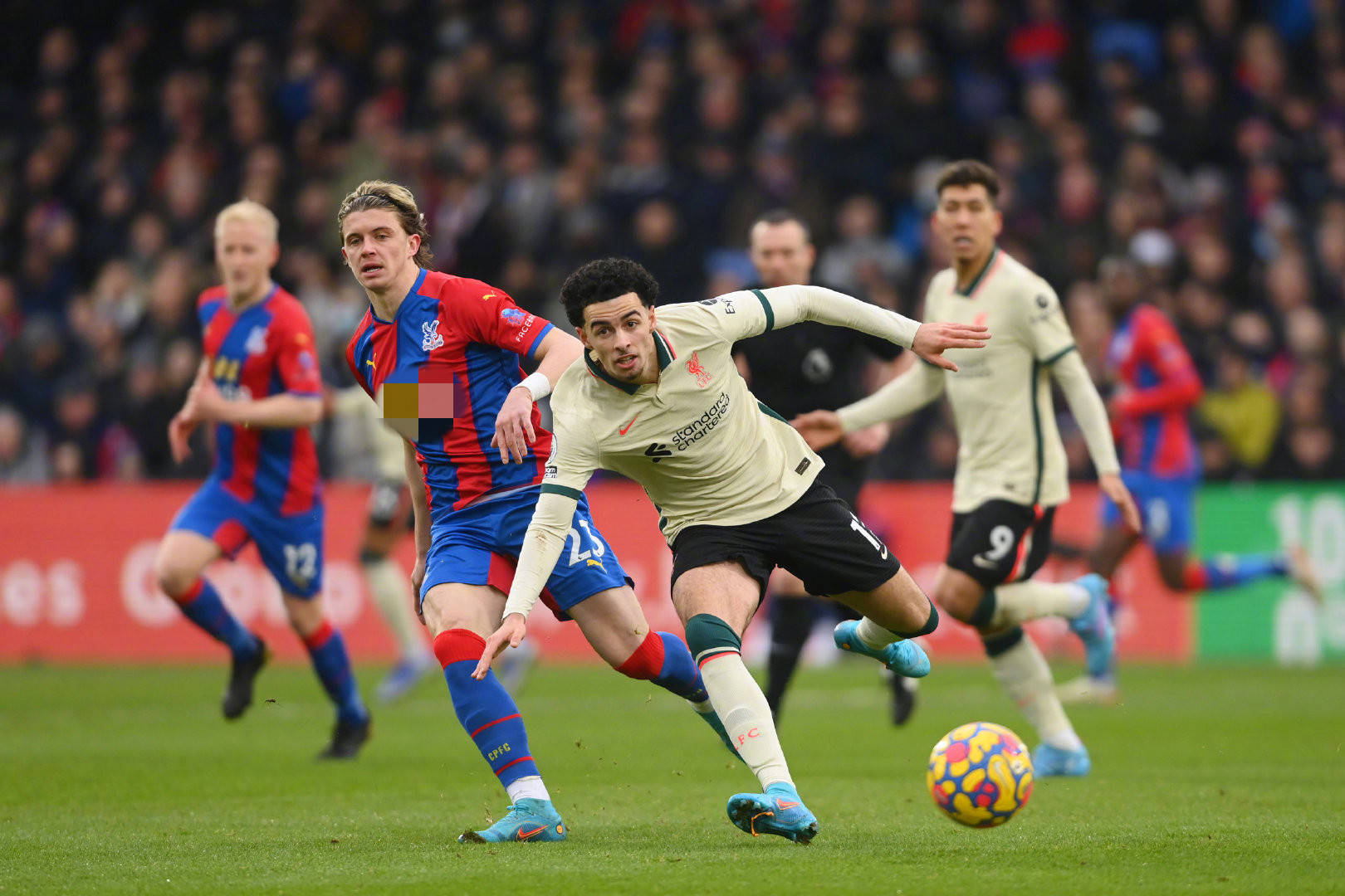 早在皇马青 早在皇马青